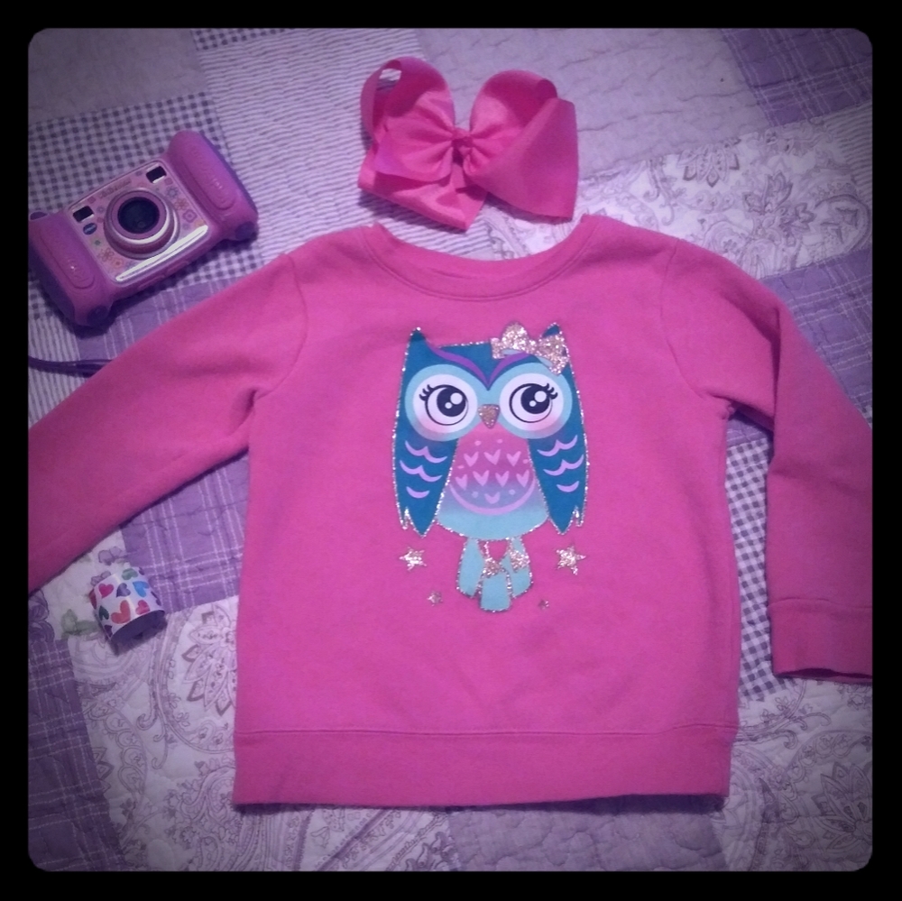 Girls 3T Pink Owl Pullover Sweatshirt